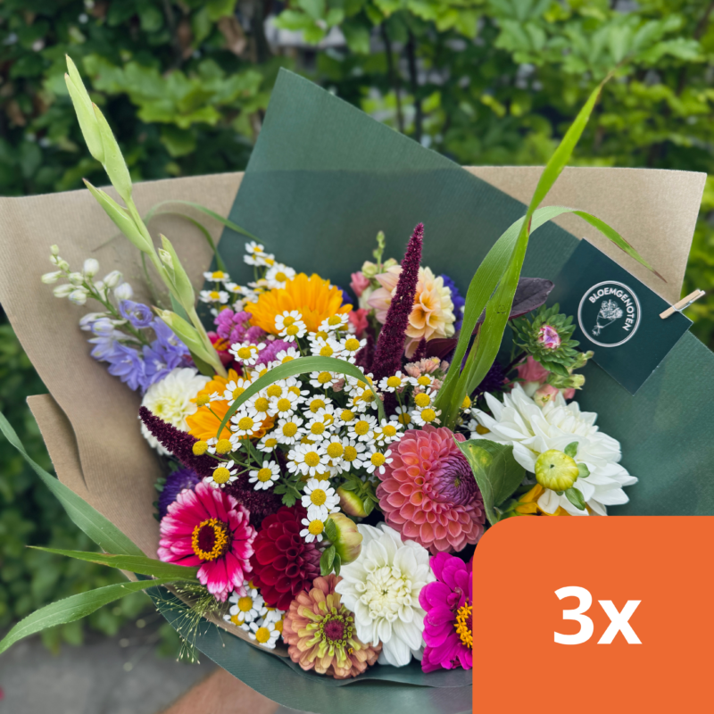 Kleurrijk boeket met verse seizoensbloemen in verschillende tinten roze, geel en paars.