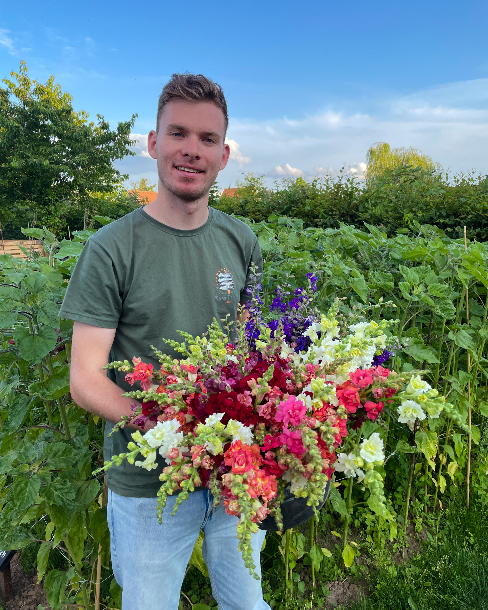 Vers geplukte leeuwenbekken met natuurlijke uitstraling en kleurrijke bloemen.